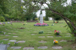 Navigate to Cremation Urn Burial Information